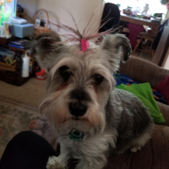 Meet your Posher, Teresa - Picture 1 of 1